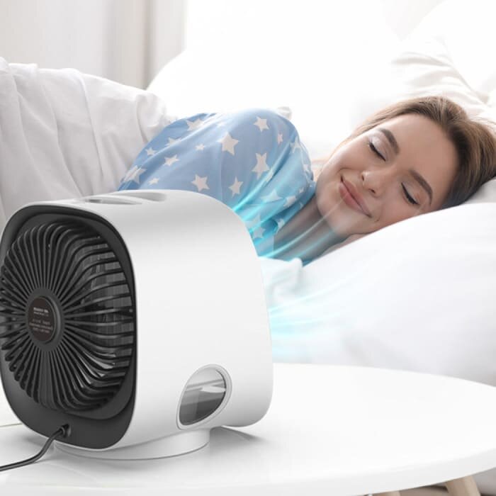Sleeping comfortably next to Mistly Mini