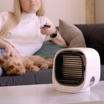 Mistly Mini cooling the living room